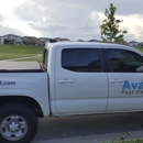 Avast Pest Control - Bee Control & Removal Service