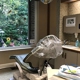 My Dental Care