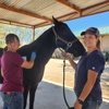 Reata Veterinary Hospital gallery