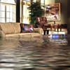 Gil's A Action Restoration and carpet cleaning gallery