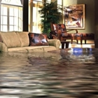 Gil's A Action Restoration and carpet cleaning