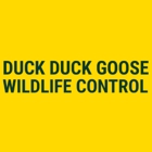 Duck Duck Goose Wildlife Control