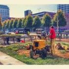 Raders Ground Works & Stump Grinding