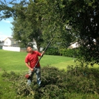 Miller Son Tree Service