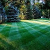 Easy Green Landscape Maintenance gallery