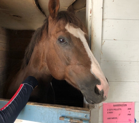 Thomas School Of Horsemanship - Melville, NY