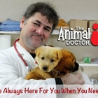 The Animal Doctor