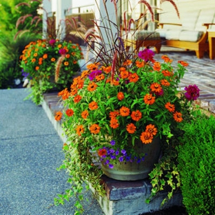 O'Hara Landscape/Lawn Care Inc - Saint Louis, MO