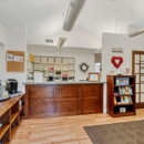 Seabreeze Dental - Dental Clinics