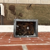 Design Roof Services gallery