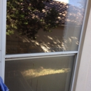 Pinnacle Window Cleaning - Window Cleaning