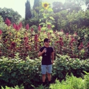 Campovida - Wineries