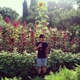 Campovida