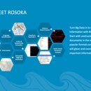 Rosoka - Computer Software & Services