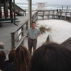 The Crab Trap, Fort Walton Beach gallery