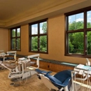 The Smile Lodge Pediatric Dentistry - Pediatric Dentistry