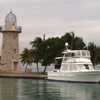 Happy Cruises gallery