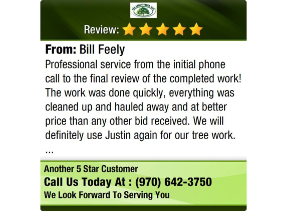 Grand Junction Tree Services - Grand Junction, CO