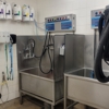 Petco Grooming gallery