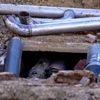 Creamer Plumbing & Heating gallery