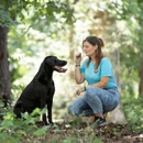 Koda's Canine Academy - Pet Training