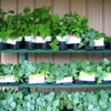 Bethel Feed & Supply Pet & Garden Center gallery
