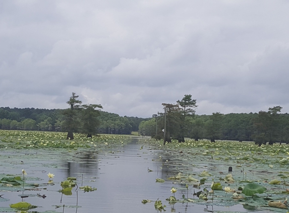 Caddo Outdoors - Oil City, LA