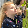 Heritage Montessori School of Newport Beach - Costa Mesa gallery