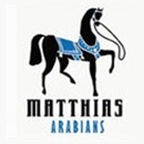 Matthias Arabians - Horse Breeders