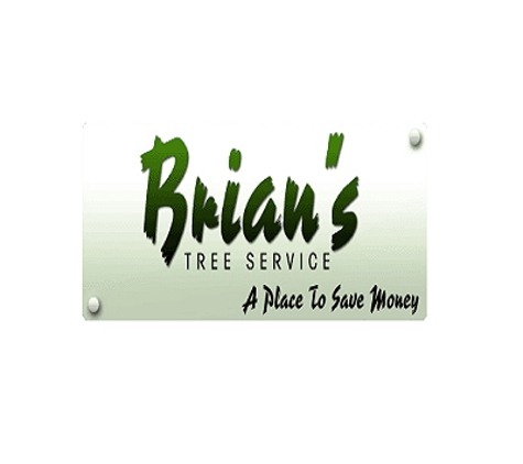 Brian's Tree Service - Highland, IN