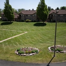Doctors of Landscaping - Landscape Designers & Consultants
