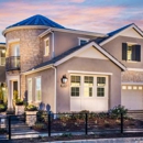 Park Forest by Landsea Homes - Home Builders