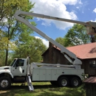 Randy's Tree Service