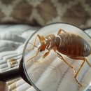 All Pro Exterminating - Pest Control Equipment & Supplies