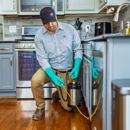 Evergreen Pest Solutions - Pest Control Services
