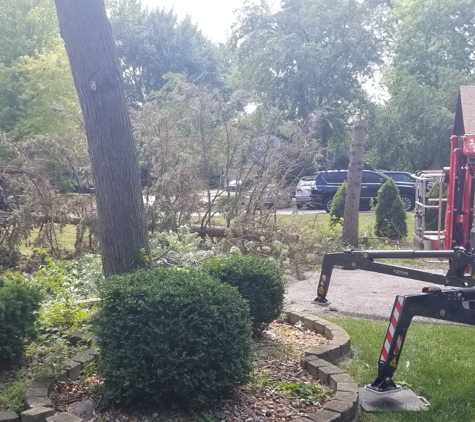 Brown Tree Service - Palatine, IL