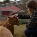 The Stables Autism Program at Pasadena Villa - Mental Health Services