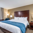 Comfort Inn Tonopah
