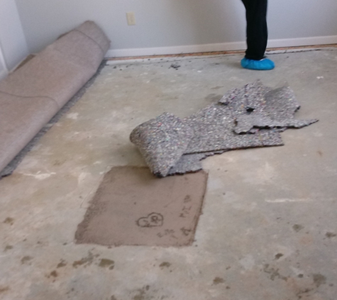 CTM Carpet Care, LLC - Indianapolis, IN