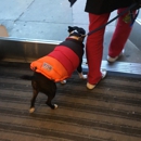 The North Face - Sporting Goods