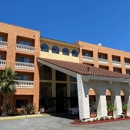 Wyndham Garden Newark/Fremont Silicon Valley - Motels