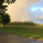 Tangerini's Spring Street Farm