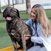 NewDay Veterinary Care University Blvd. gallery