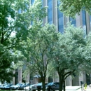 Houston Family Chiro Center - Chiropractors & Chiropractic Services