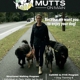 Mutts On Main