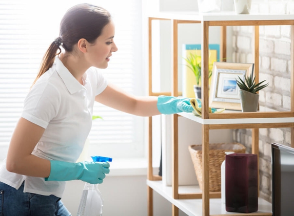 Cleanzen Cleaning Services - Chicago, IL