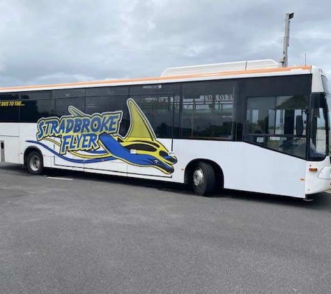 Stradbroke Flyer Gold Cats - Cleveland, QLD