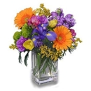 Sweet Meadows Flower Shop - Florists Supplies