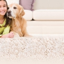 Blue Ribbon Chem-Dry - Carpet & Rug Cleaners