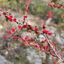 Bull Creek District Park - Parks